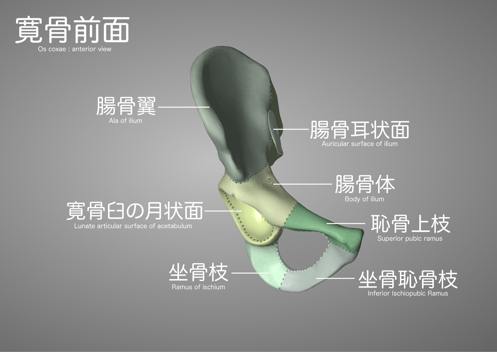 鉱物標本セット　オーケン石　アウイナイト　紅水晶　長石　リチア電気石　きらら舎